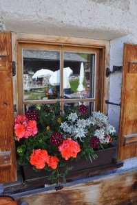 Fiori alla finestra del Rifugio Cason (Rasciesa - Val Gardena)