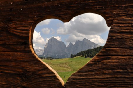 Gruppo del Sassolungo dall'Alpe di Siusi