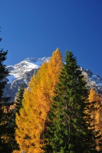 autunno