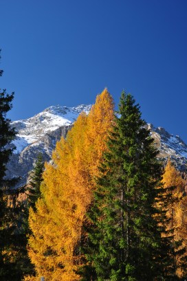 autunno